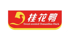&#20048;&#40060;&#32593;&#39029;&#29256;&#45;&#20048;&#40060;&#40;&#20013;&#22269;&#41;